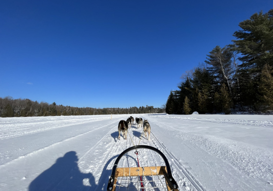 Traineau à chiens, QC