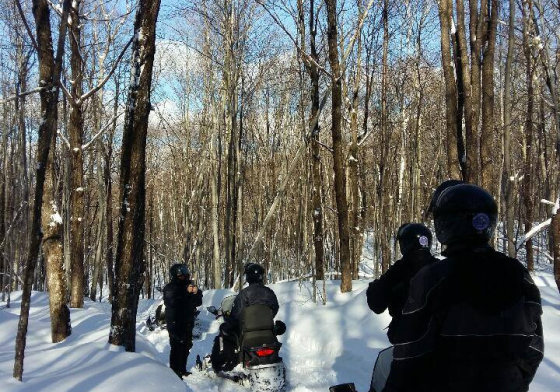 Motoneige dans les Laurentides