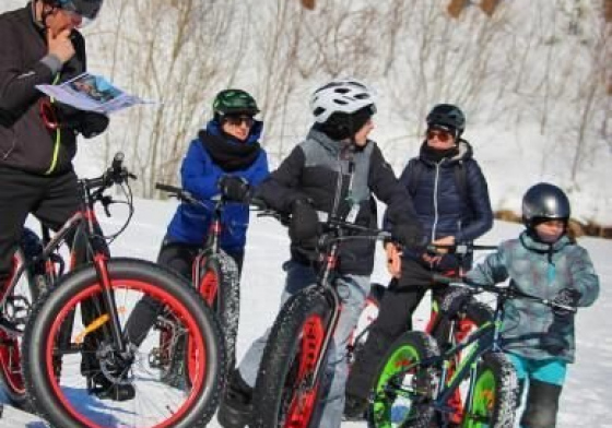 Fatbike Chalet de bois rond