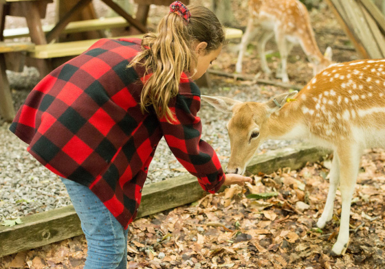 Parc animalier Omega