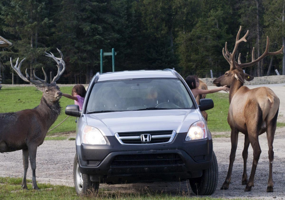 Parcours en voiture