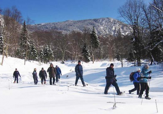 Randonée sentier du Castor