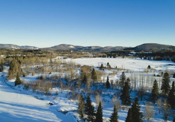 Paysage d'Hiver