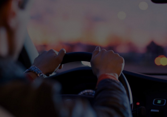Chauffeurs profesionnels