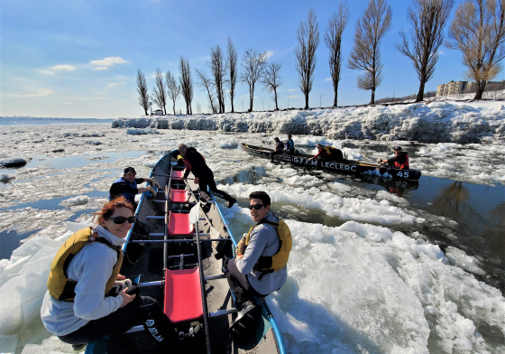 Pause sur la banquise