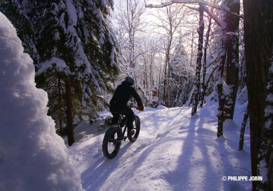 Fat Bike