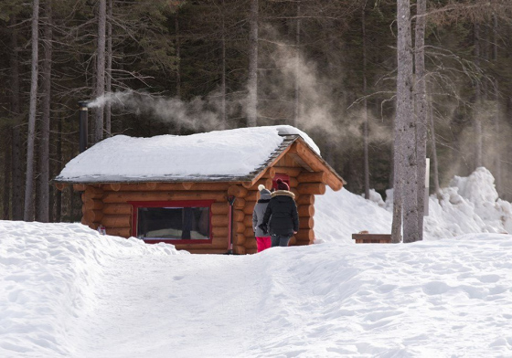 Chalet en Bois Rond