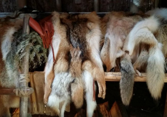Site Traditionnel Huron - Les fourrures