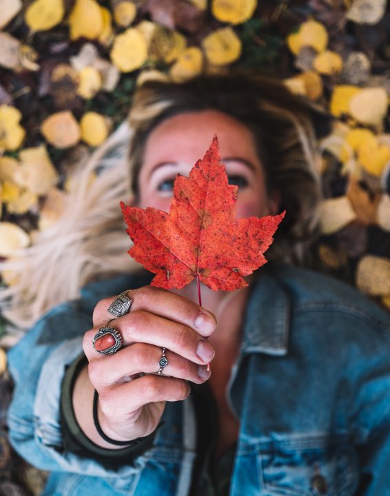 Indian Summer | Authentik Canada