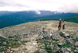 Parc de la Gaspésie