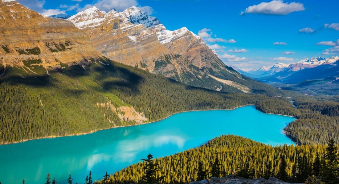 jasper parc national canadien