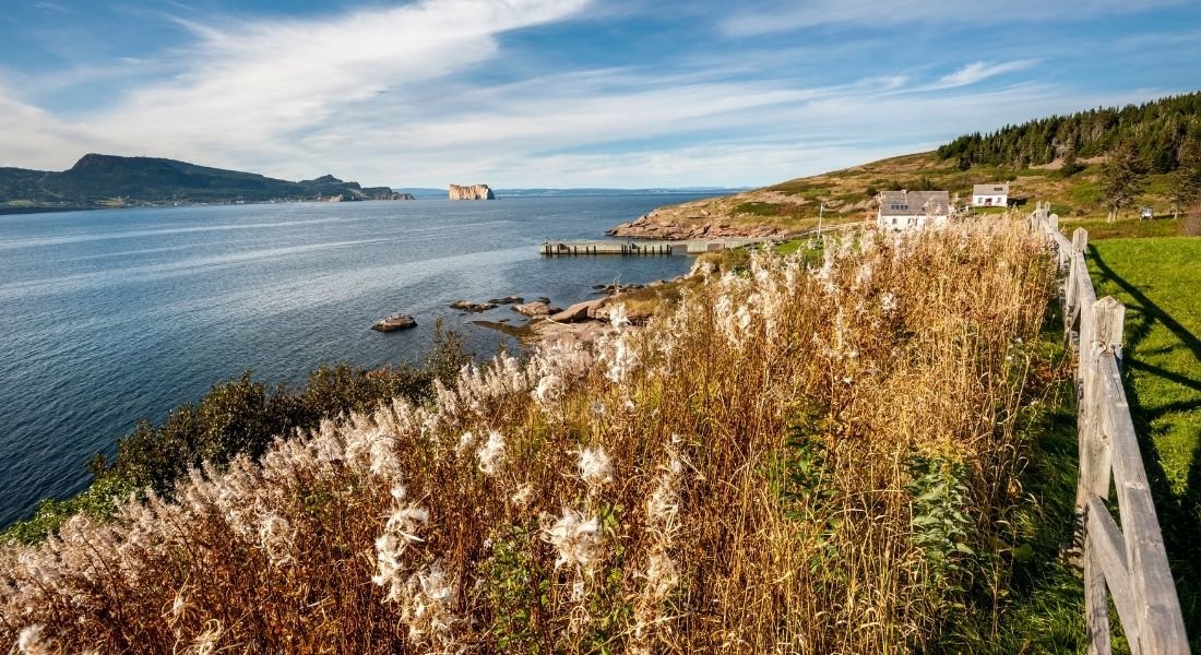 cruise to bonaventure island