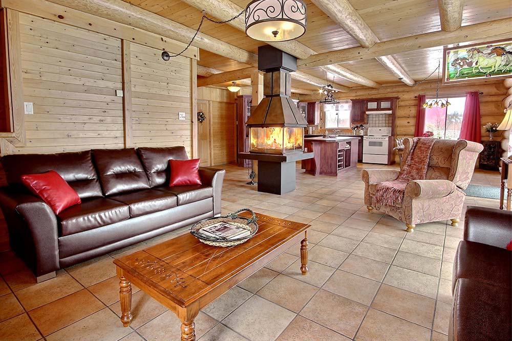 Vue générale Chalet Le Mustang