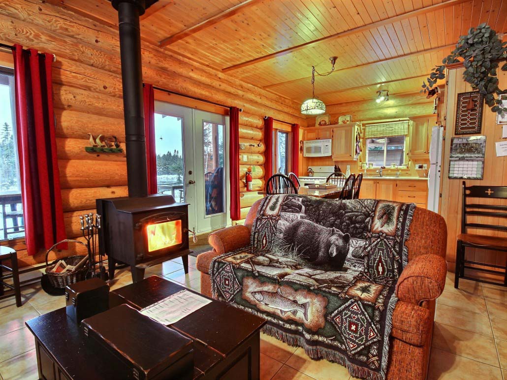 Foyer Chalet Ours Noir