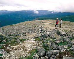 Mont Jacques-Cartier - Parc de la Gaspésie