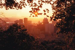 Montréal vu du Mont-Royal