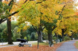 Parc des Champs-de-Bataille, Ville de Québec