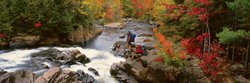 Randonnée dans le Parc du Mont-Tremblant