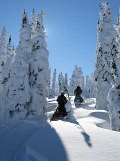 Quand partir en hiver au Canada