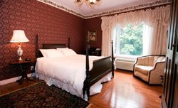 Auberge sous les Arbres - Chambre