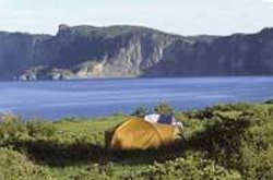 Camping au Parc Forillon