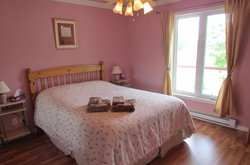 Gîte aux Orchidées - Chambre