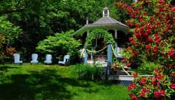 Maison sous les Pins - Jardin
