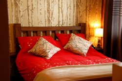 Hôtel Le Roquemont - Chambre