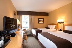 Crystal Lodge - Chambre 2 lits