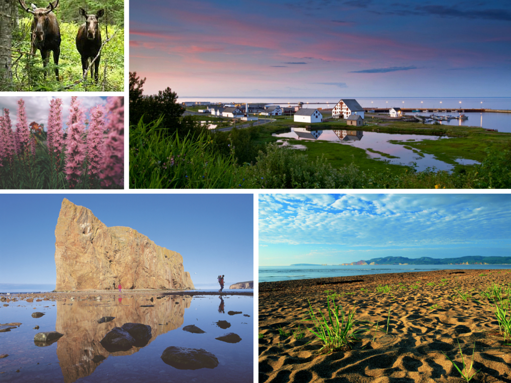 Est du Canada en 15 jours : Gaspésie